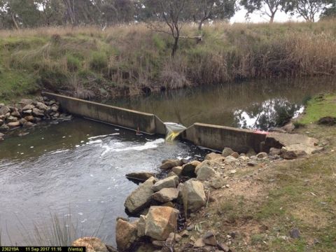 This image shows water flowing from right to left through a V shaped weir at a river monitoring site. The river is an active monitoring site, namely Hopkins River @ Ararat (236219).