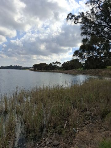 a wide river where some tree plantings can be seen on the banks in the background. Its a cloudy day.